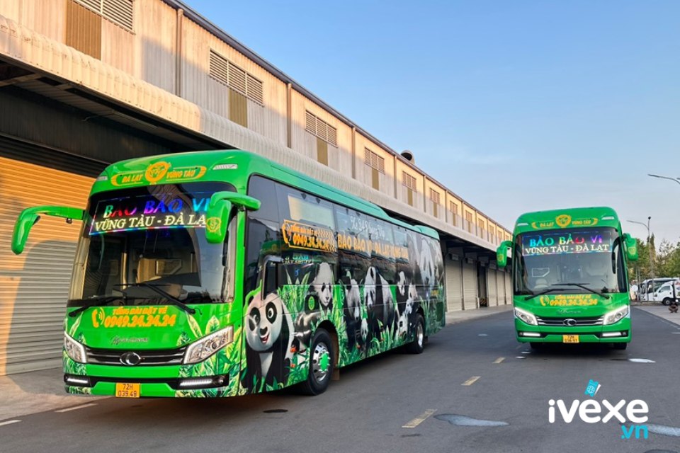 Bảo Bảo Vi