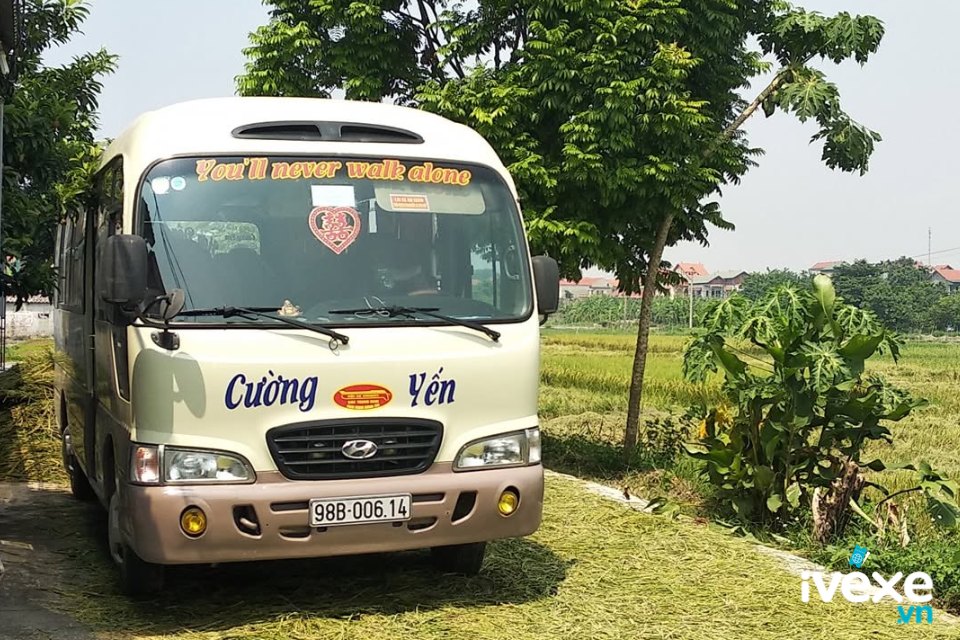 Cường Yến