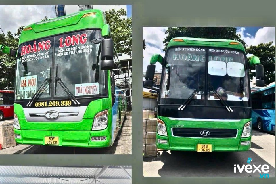 Hoàng Long (Đỏ)