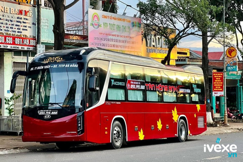 Hồng Anh