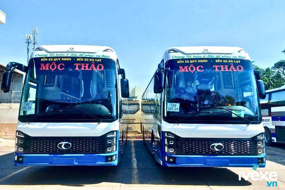 Mộc Thảo