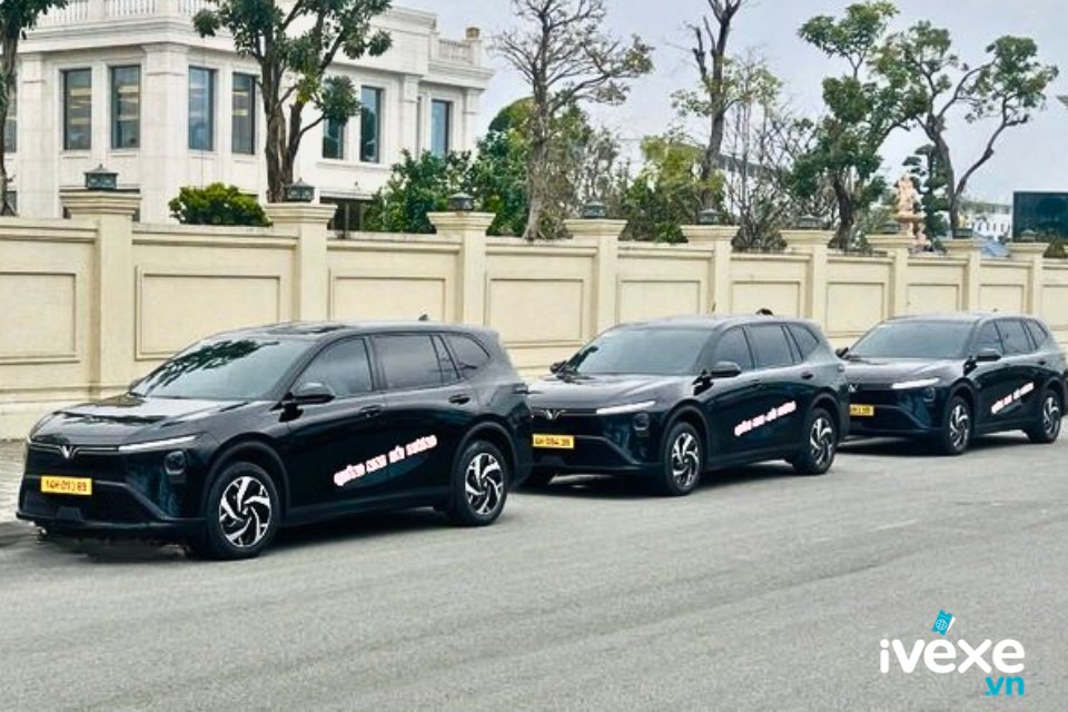 Quảng Ninh VIP