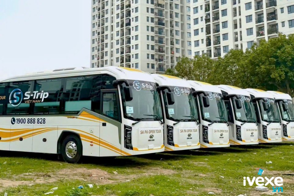 S Trip Việt Nam
