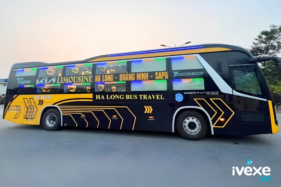 Thế Anh Travel