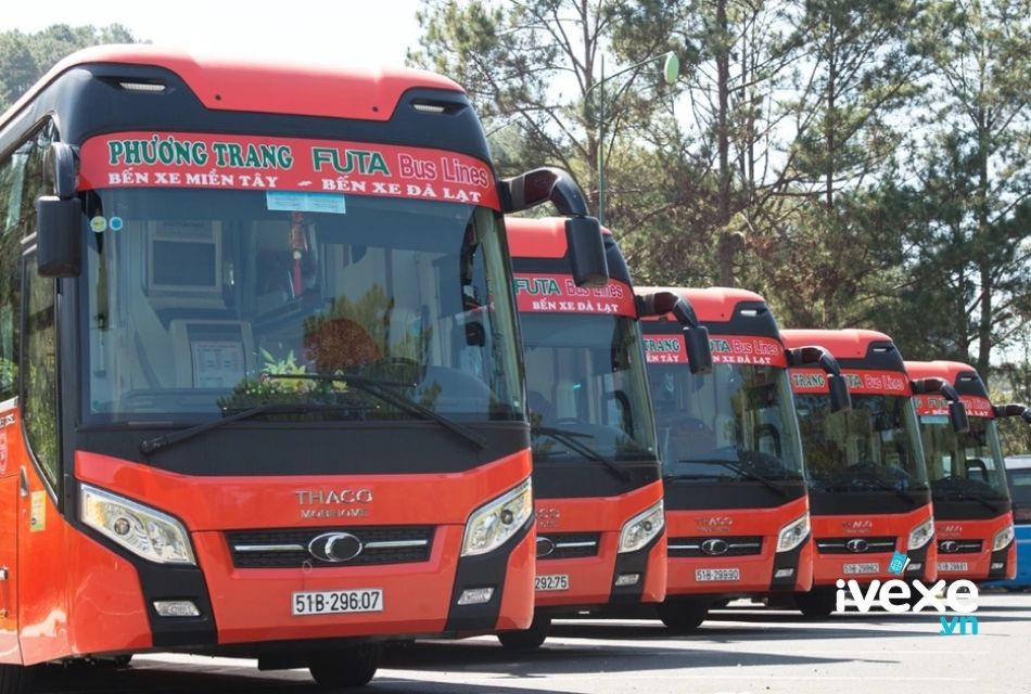 Đặt vé xe Phương Trang Bến Cát – Bình Dương đi Lâm Đồng: Giá vé, lịch trình, địa chỉ, số điện thoại