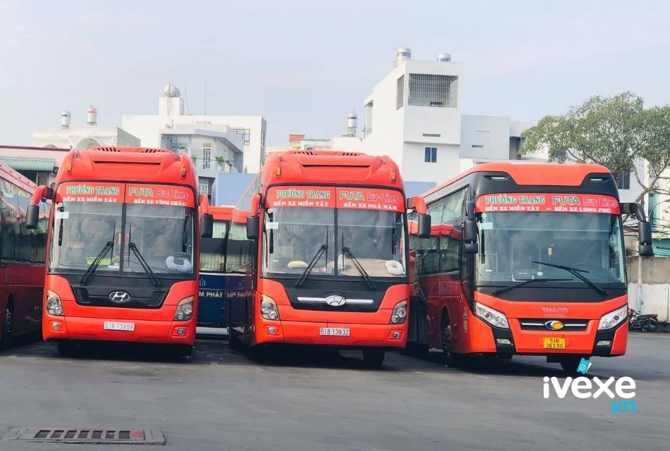 Nhà xe Phương Trang chạy tuyến Cái Nước - Cà Mau đi Cần Thơ