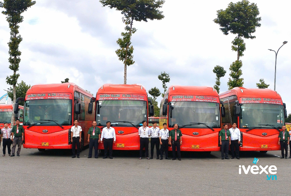 Đặt vé xe Phương Trang Đắk Lắk đi Tân Bình – Hồ Chí Minh: Giá vé, lịch trình, địa chỉ, số điện thoại
