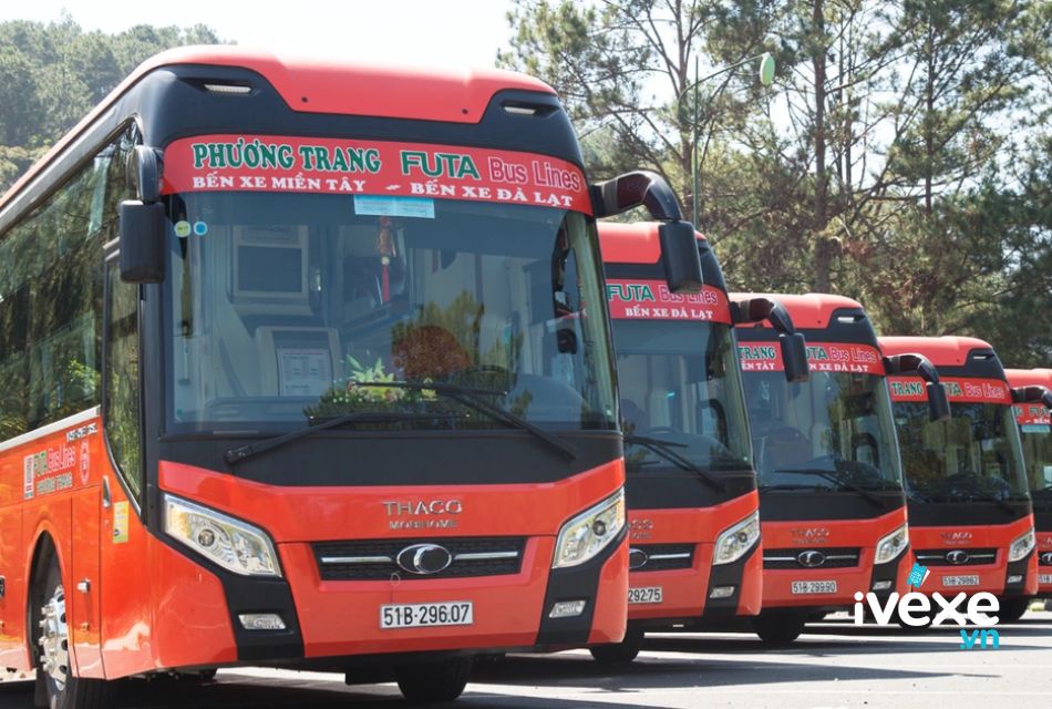 Đặt vé xe Phương Trang Đồng Nai đi Lạc Dương – Lâm Đồng: Giá vé, lịch trình, địa chỉ, số điện thoại