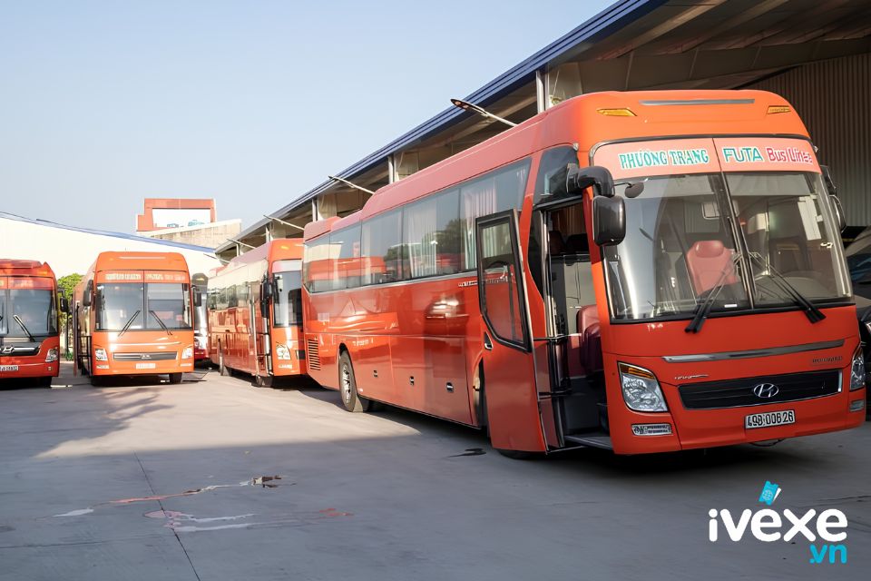 Đặt vé xe Phương Trang Đức Phổ – Quảng Ngãi đi Bình Tân – Hồ Chí Minh: Giá vé, lịch trình, số điện thoại