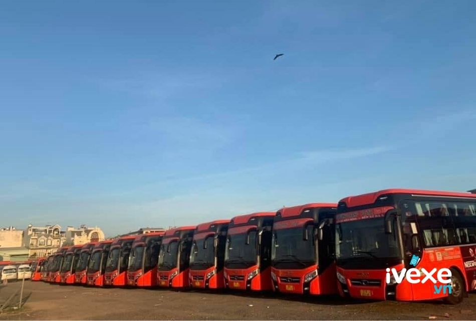 Đặt vé xe Phương Trang Hoài Nhơn – Bình Định đi Quảng Nam giá ưu đãi