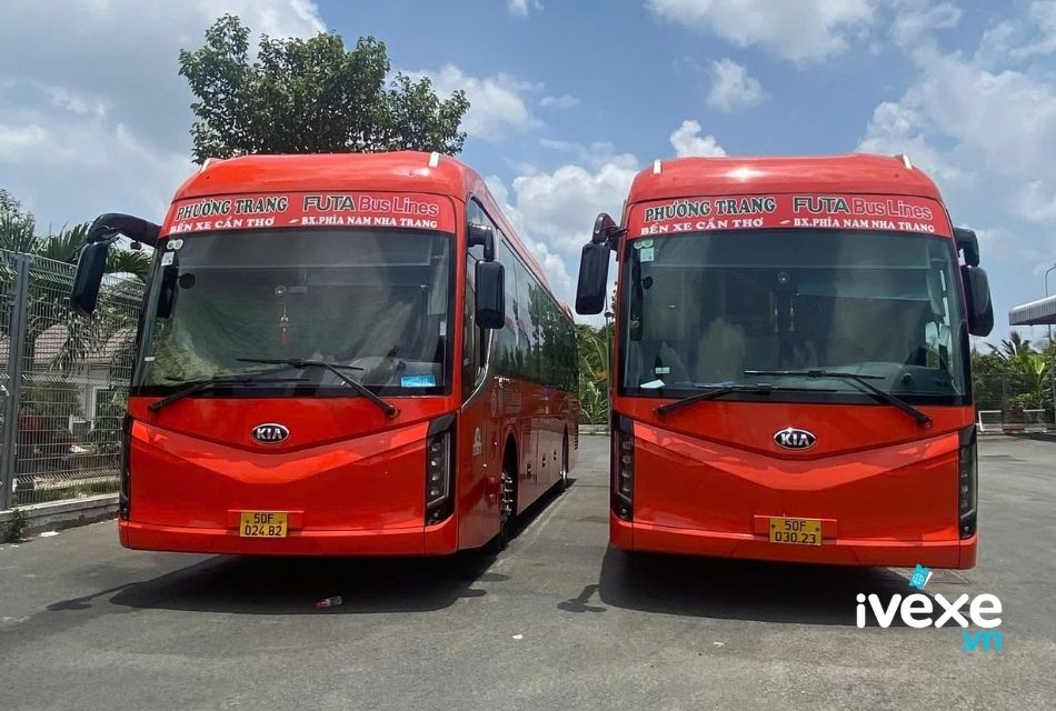 Đặt vé xe Phương Trang Quận 11 – Hồ Chí Minh đi Bình Định lịch chạy mới nhất
