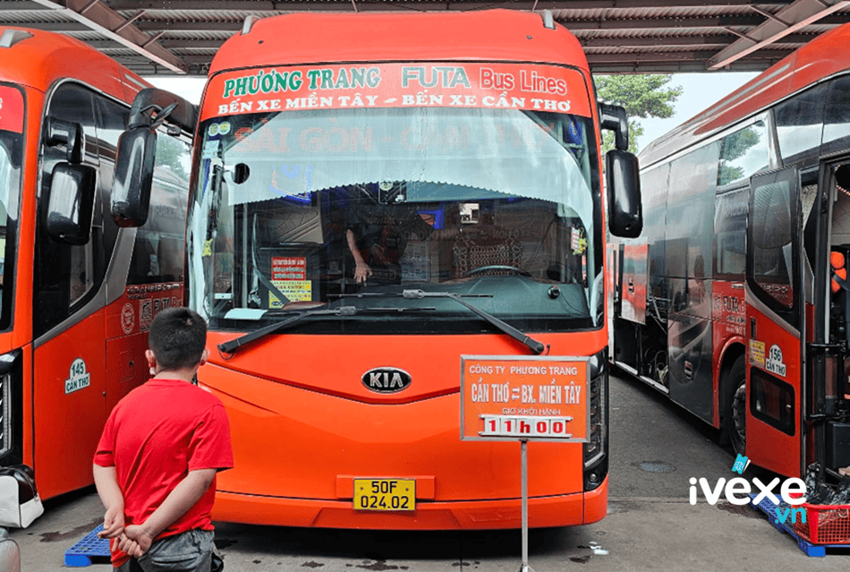 Đặt vé xe Phương Trang Thốt Nốt – Cần Thơ đi Hồ Chí Minh: Giá vé mới nhất, số điện thoại