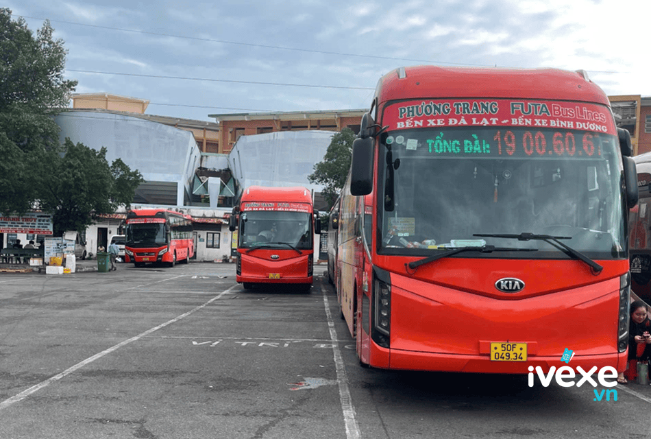 Đặt vé xe Phương Trang Thủ Dầu Một – Bình Dương đi Đà Lạt – Lâm Đồng: Giá vé, lịch trình, số điện thoại