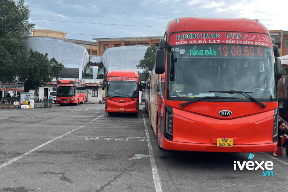 Đặt vé xe Phương Trang Thuận An – Bình Dương đi Di Linh – Lâm Đồng: Giá vé, hotline đặt vé