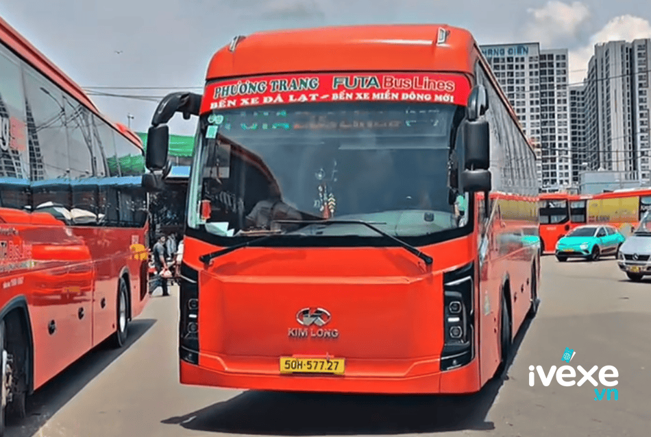 Đặt vé xe Phương Trang Quận 1 – Hồ Chí Minh đi Lạc Dương – Lâm Đồng: Giá vé, giờ chạy, điểm đón trả, hotline