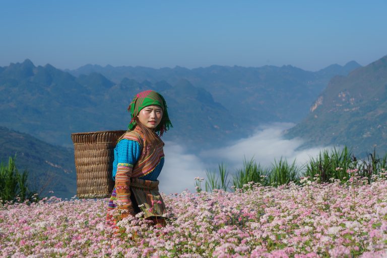Xe khách đi Hà Giang