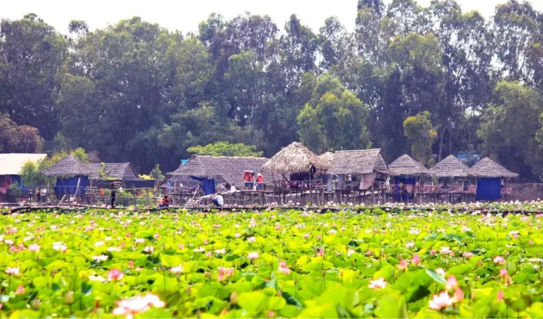 Xe khách đi Đồng Tháp
